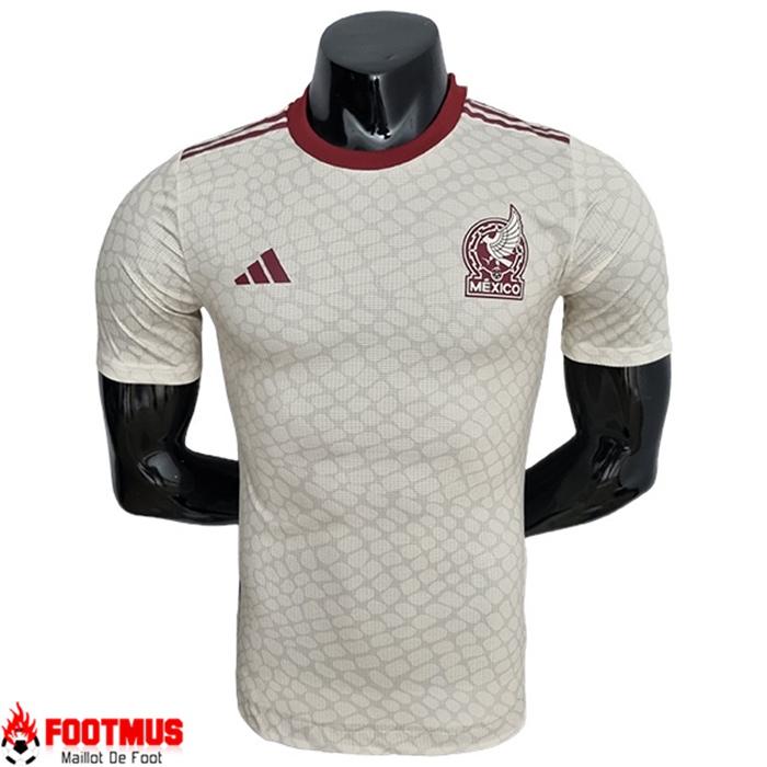 Maillot de Foot Mexique Exterieur Coupe du monde 2022
