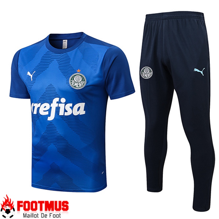 Ensemble Training T-Shirts + Pantalon Palmeiras Bleu 2022/2023